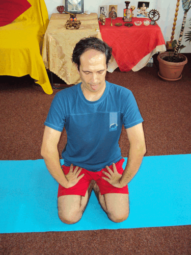 SIMHASANA - Postura leului