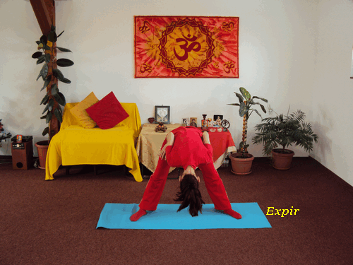 Tehnica de elongatie