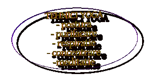 Cursuri Yoga on-line