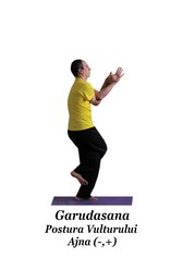 Garudasana - Postura Vulturului