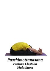 Paschimottanasana 1 - Postura Clestelui