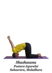 Shashasana - Postura Iepurelui