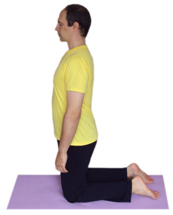 ustrasana plecare color