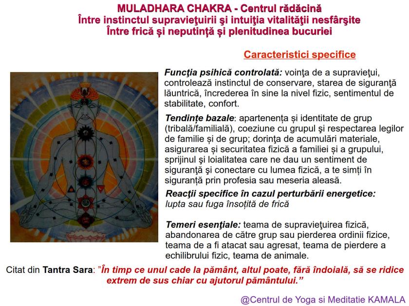 1.MULADHARA CHAKRA bun_2