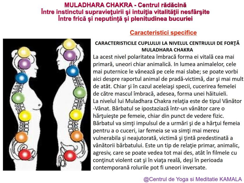 1.MULADHARA CHAKRA bun_4