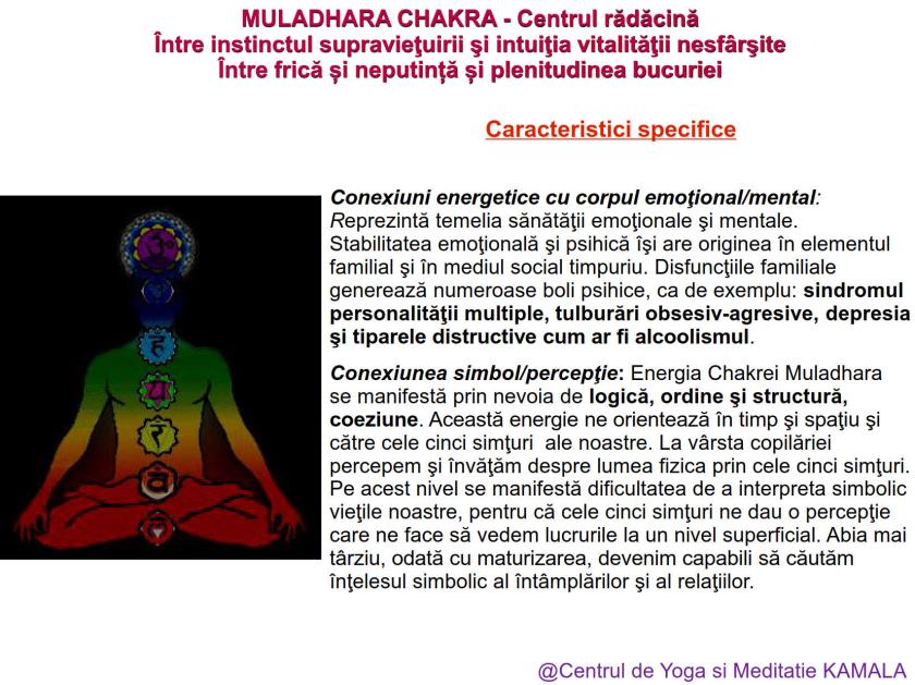 1.MULADHARA CHAKRA bun_5