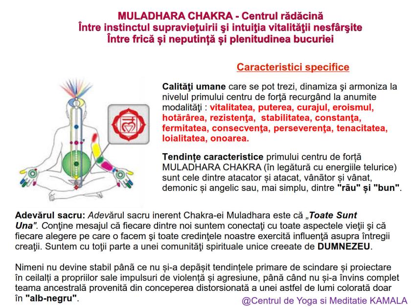 1.MULADHARA CHAKRA bun_7