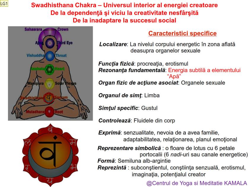 2.SWADHISTHANA CHAKRA bun_1