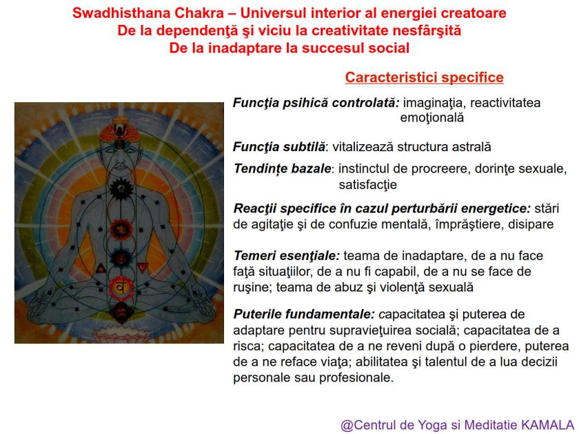 2.SWADHISTHANA CHAKRA bun_2