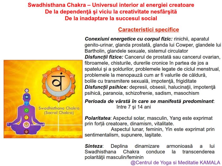2.SWADHISTHANA CHAKRA bun_3