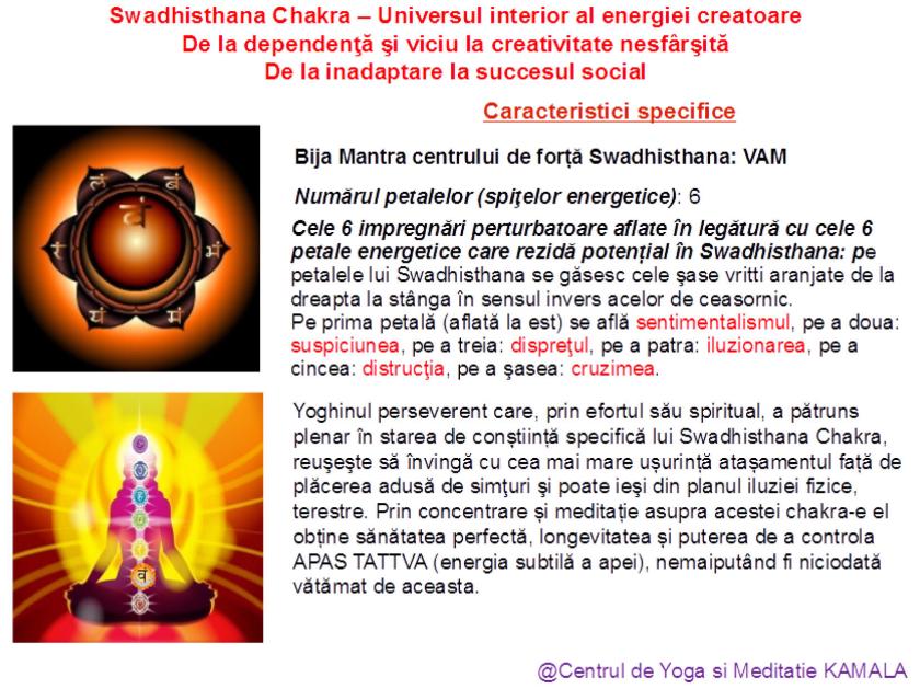 2.SWADHISTHANA CHAKRA bun_7