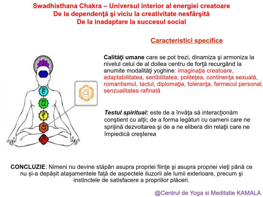 2.SWADHISTHANA CHAKRA bun_8
