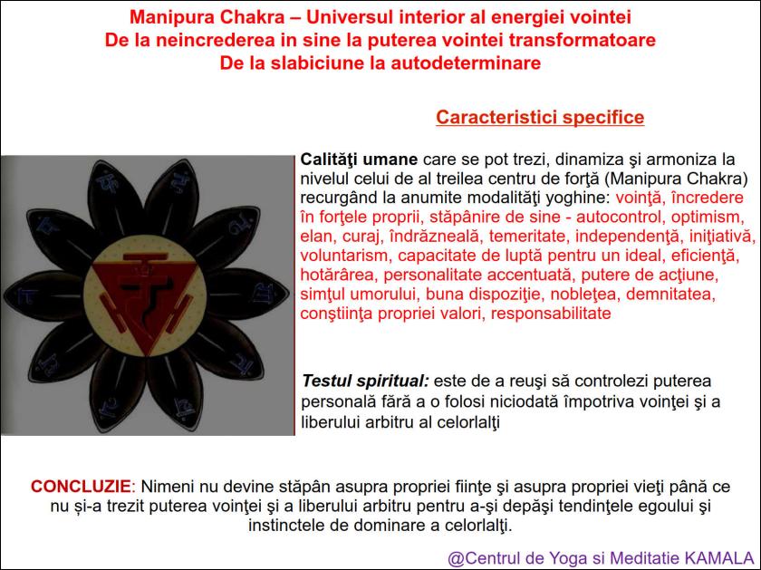 3.MANIPURA CHAKRA bun_8