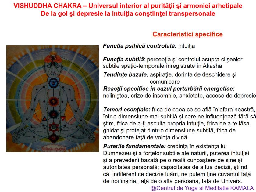 5.VISHUDDHA CHAKRA bun_2