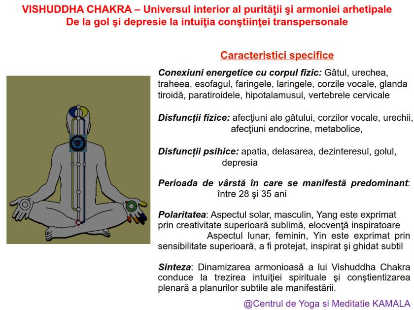 5.VISHUDDHA CHAKRA bun_3