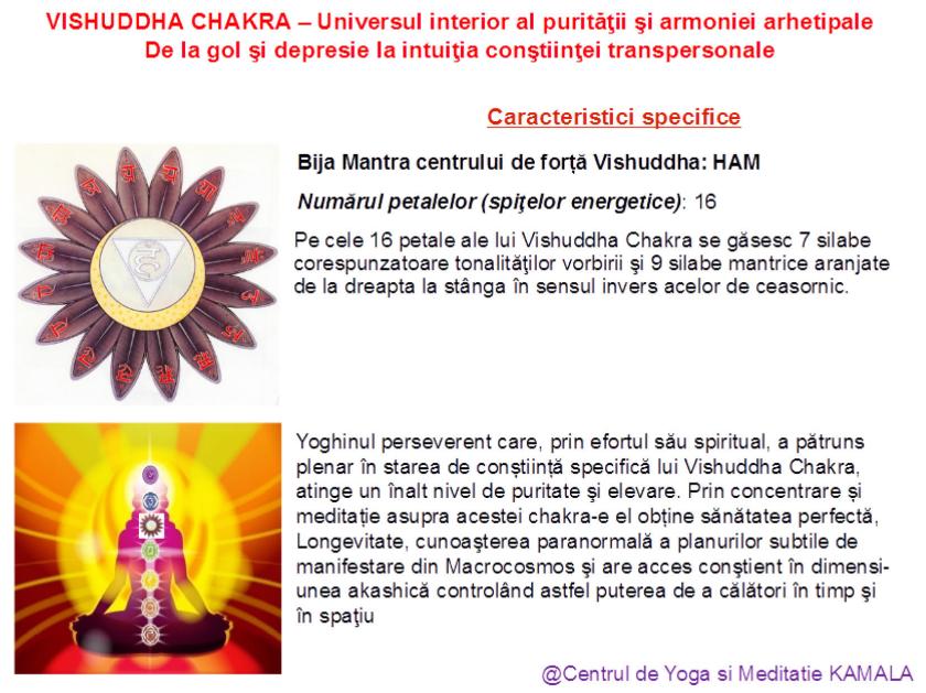 5.VISHUDDHA CHAKRA bun_7