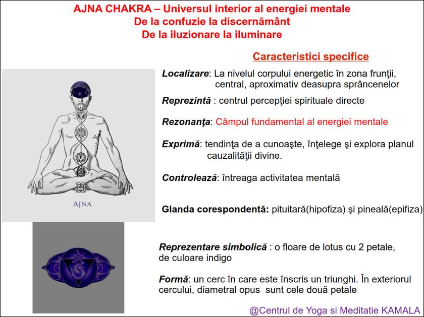 6.AJNA CHAKRA bun_1