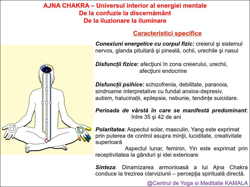 6.AJNA CHAKRA bun_3