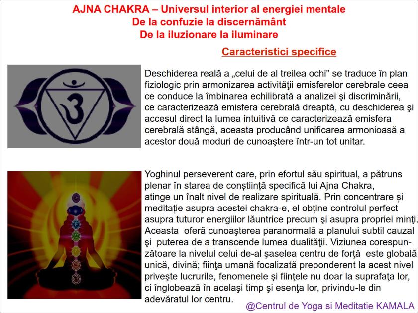 6.AJNA CHAKRA bun_7