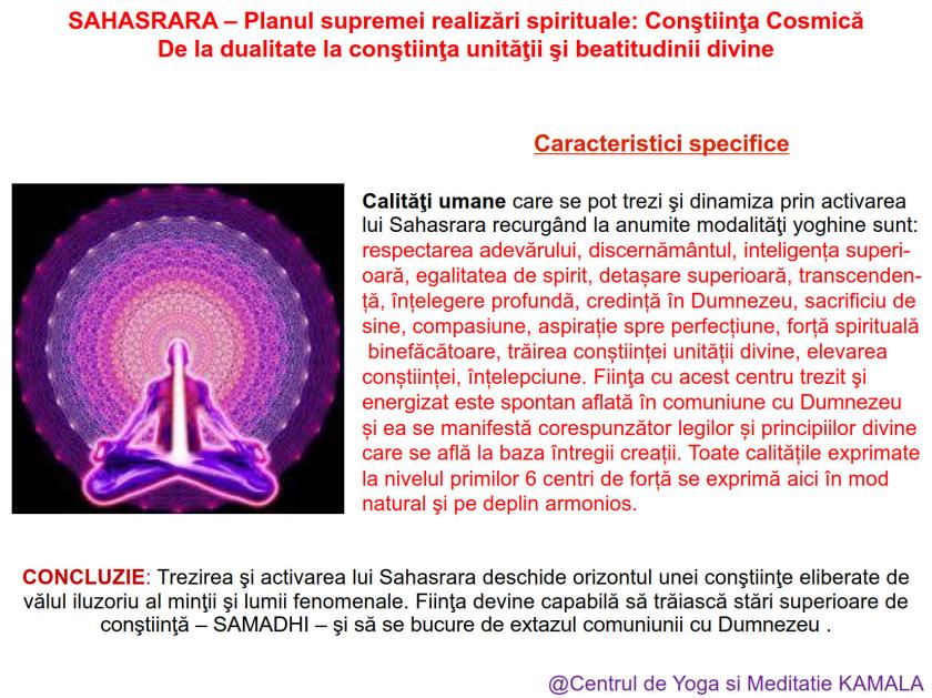 7.SAHASRARA bun_8
