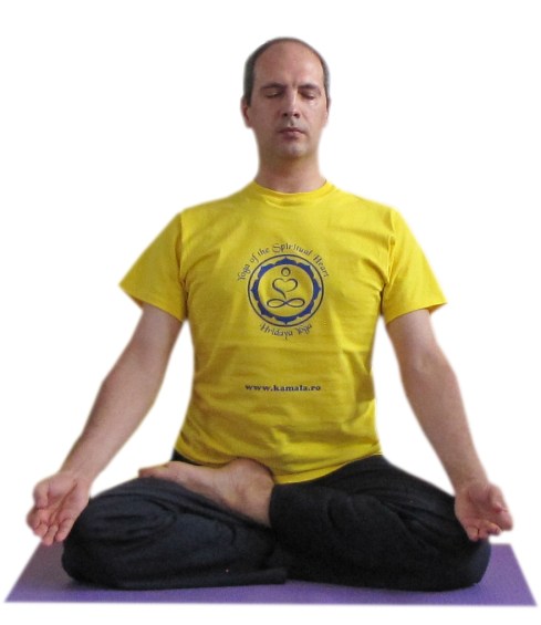 ardha padmasana stanga.JPG