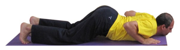 ashtapranamasana color.JPG