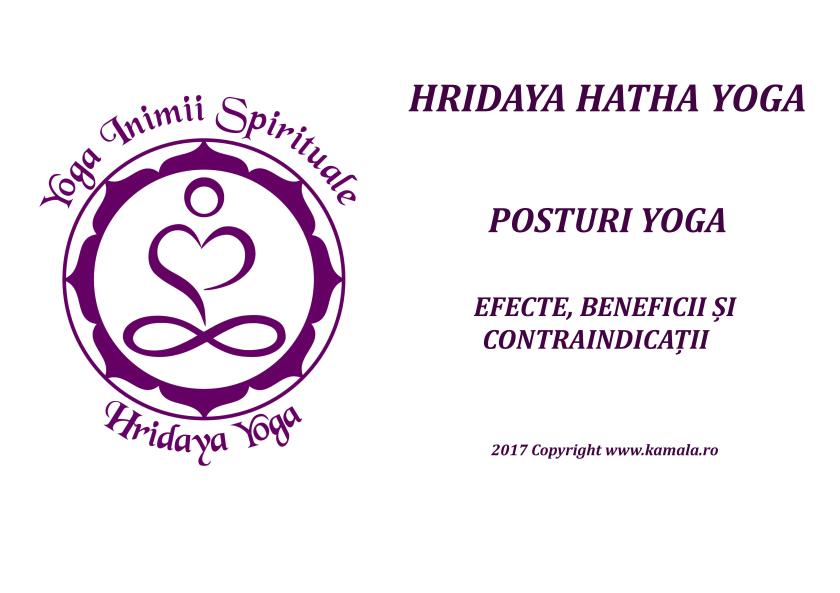 Brosura Efecte si beneficii ale posturilor Yoga Landscape cu poze_1