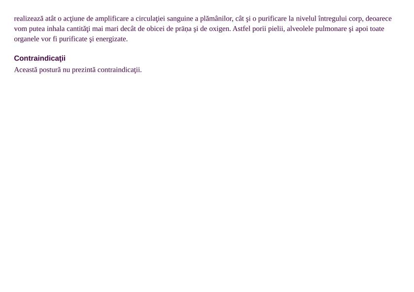 Brosura Efecte si beneficii ale posturilor Yoga Landscape cu poze_72