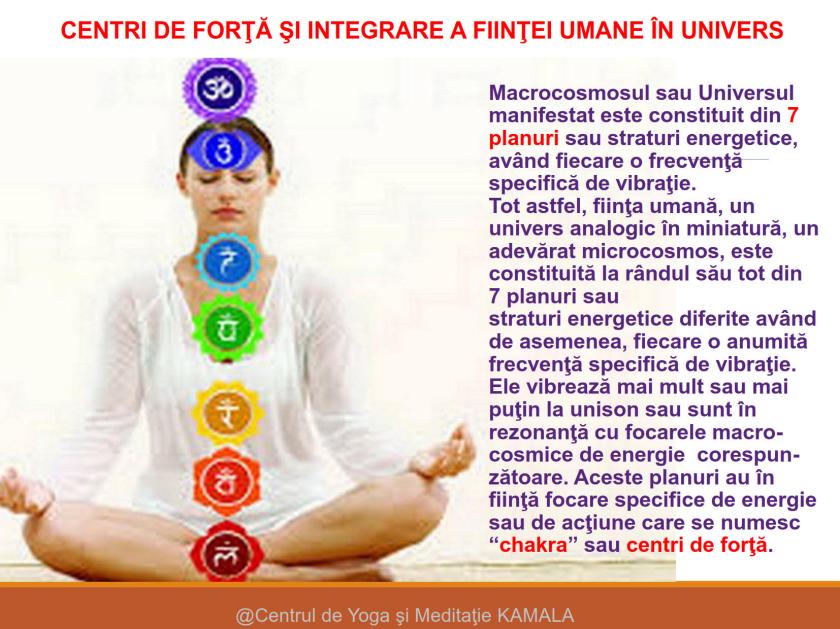 CENTRI DE FORTA - SINTEZA_1