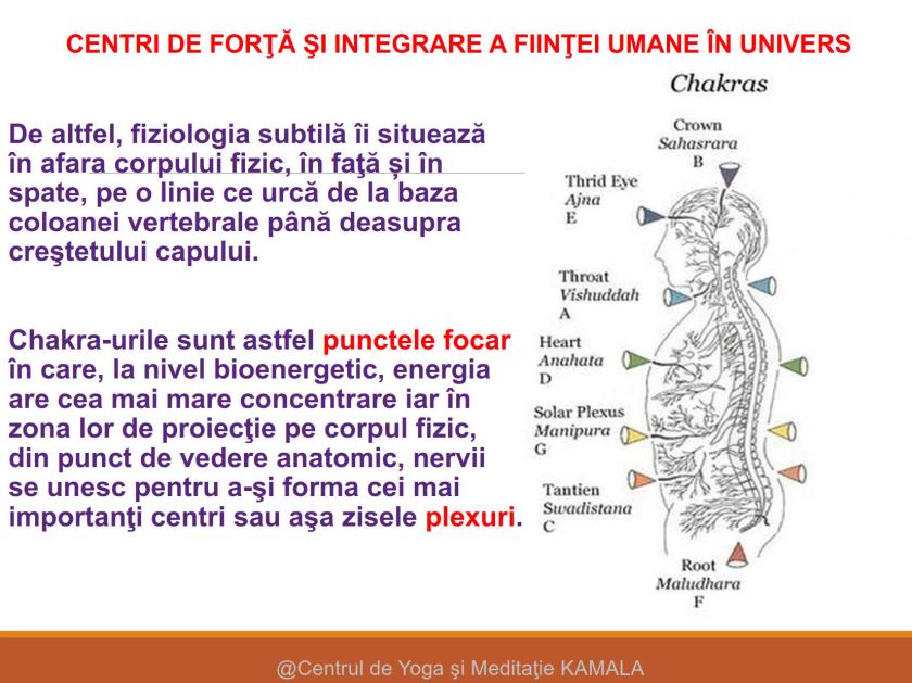 CENTRI DE FORTA - SINTEZA_4