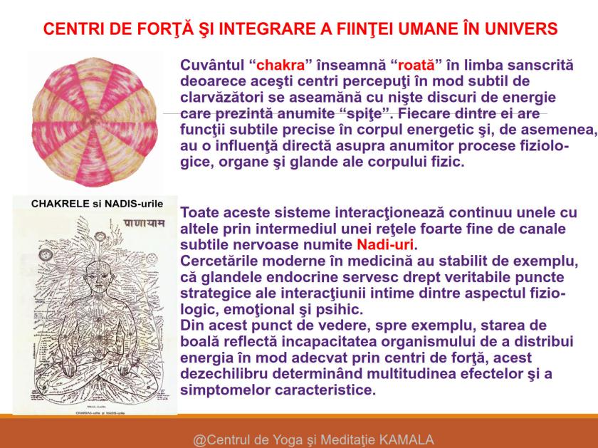 CENTRI DE FORTA - SINTEZA_5