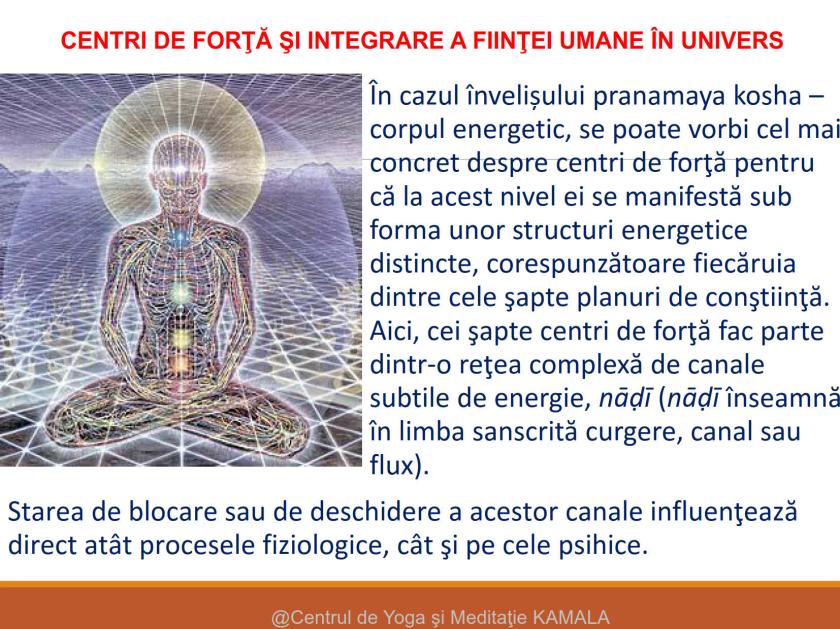 CENTRI DE FORTA - SINTEZA_6