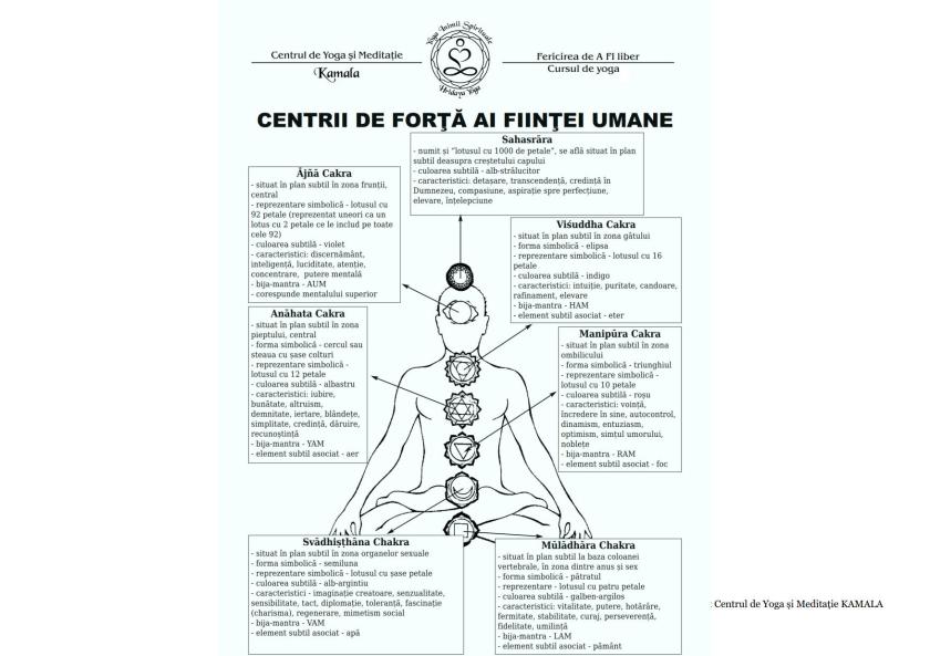 CENTRII ENERGETICI_1