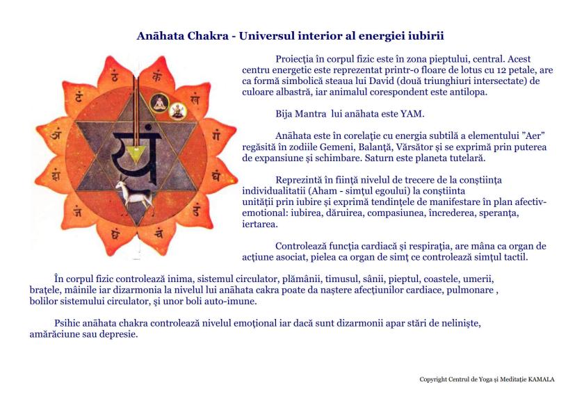 CENTRII ENERGETICI_10