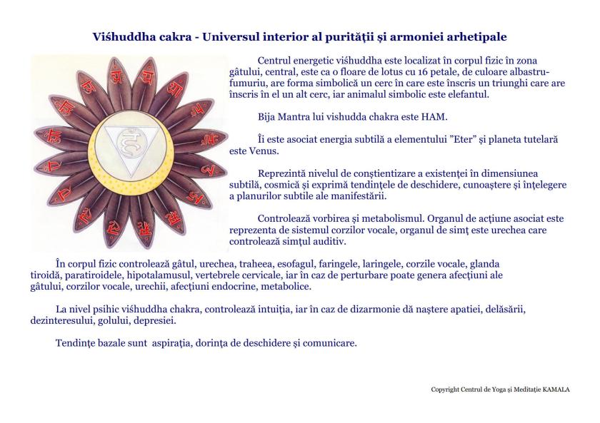 CENTRII ENERGETICI_12