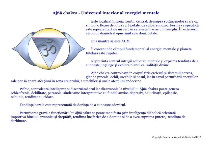 CENTRII ENERGETICI_14