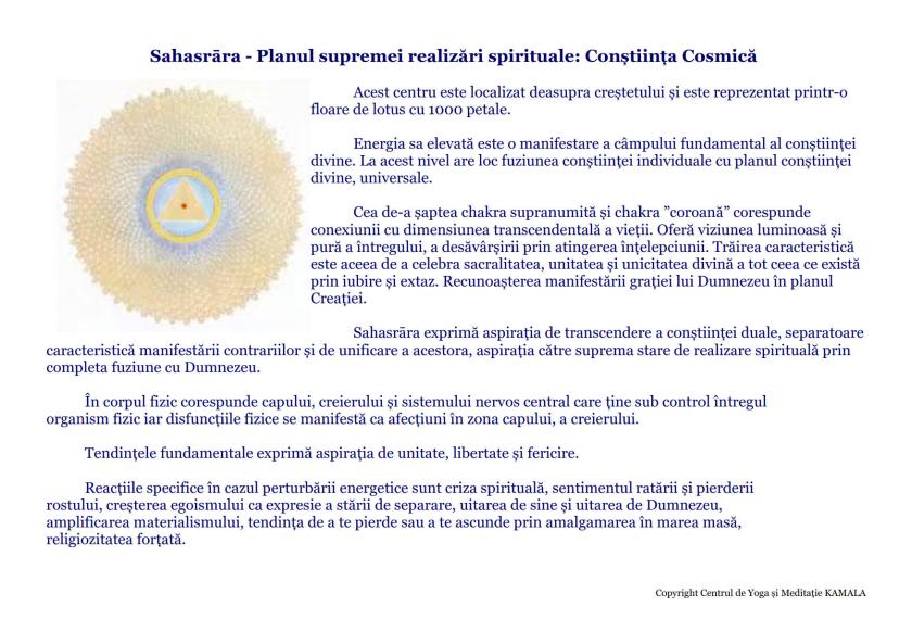 CENTRII ENERGETICI_16