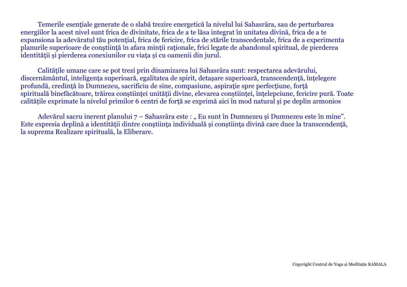 CENTRII ENERGETICI_17