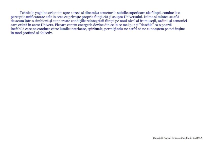 CENTRII ENERGETICI_3