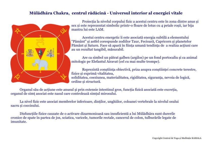 CENTRII ENERGETICI_4