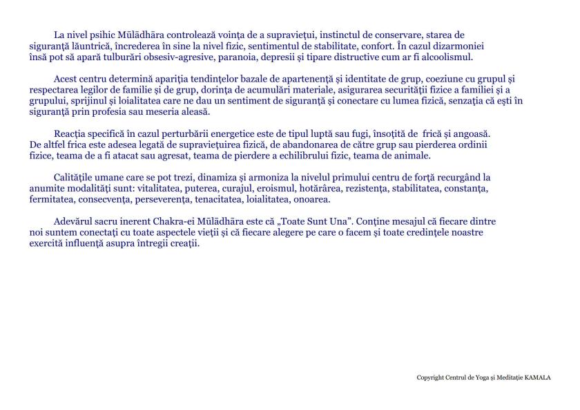 CENTRII ENERGETICI_5