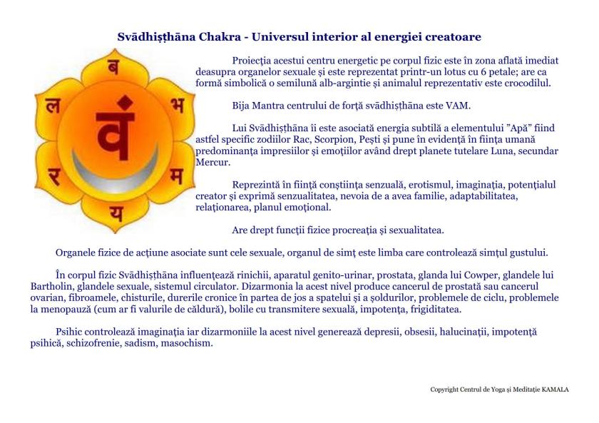 CENTRII ENERGETICI_6