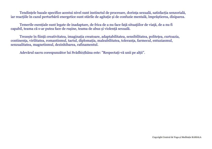 CENTRII ENERGETICI_7