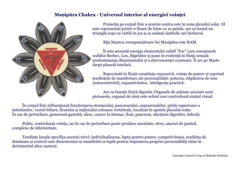 CENTRII ENERGETICI_8