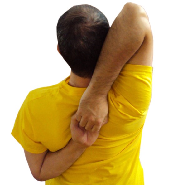 gomukasana spate dr.jpg