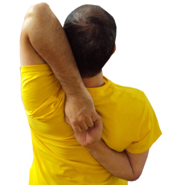 gomukasana spate.jpg