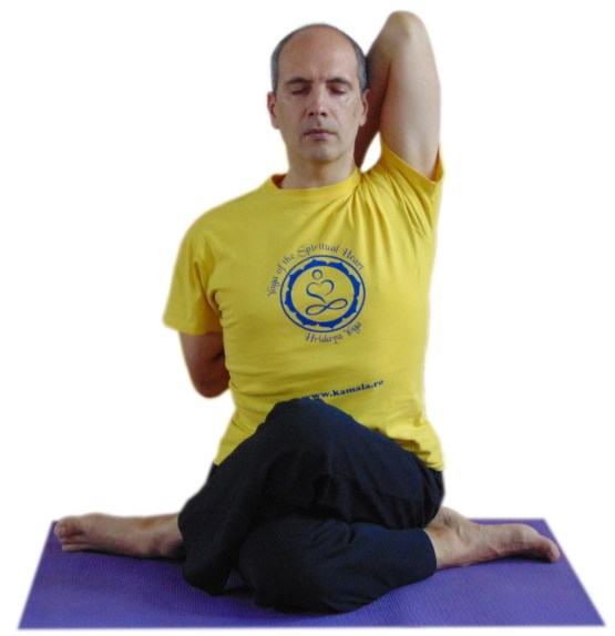 gomukhasana stanga.jpg