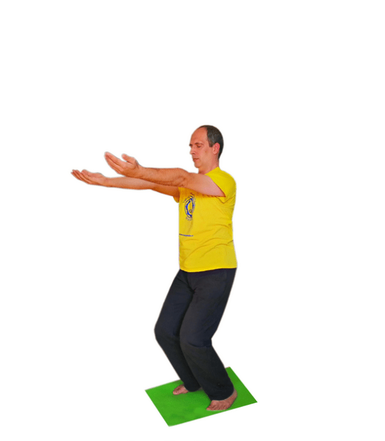 Jivabalasana - Postura Energiei vietii.png