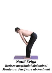 Nauli Kriya.jpg