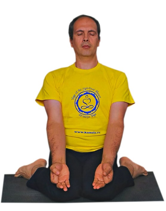 virasana.jpg
